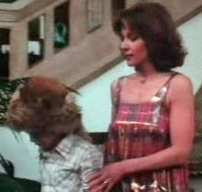 le_grand_secret_serie_Claude_Jade