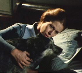 ile aux 30 cerceuils claude jade chien aramis trente cercueils